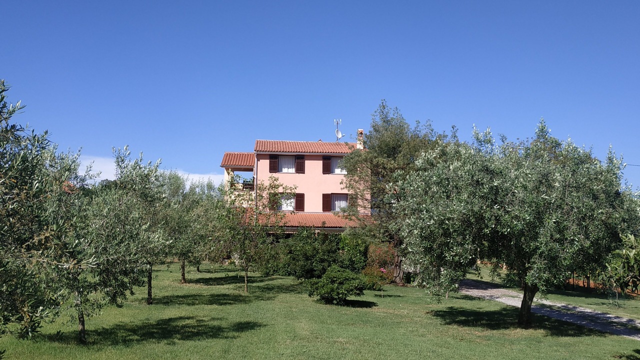 Photo of Outdoor in Loborika