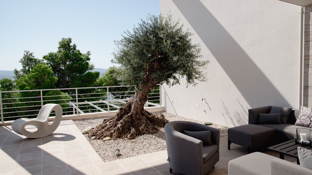 Photo of Outdoor in Medici