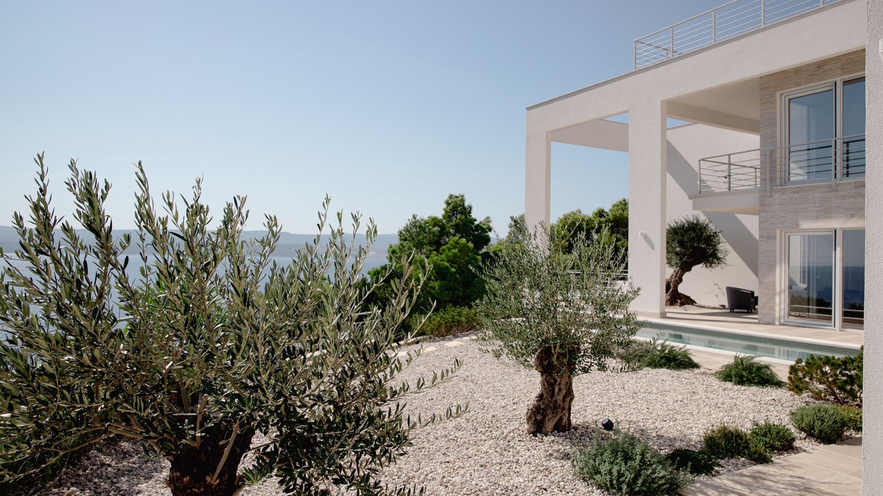 Photo of Outdoor in Medici
