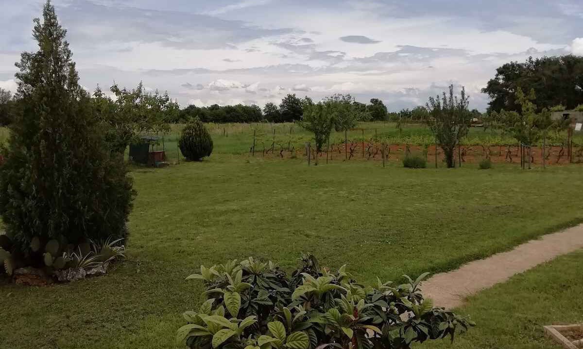 Photo of Outdoor in Muntic