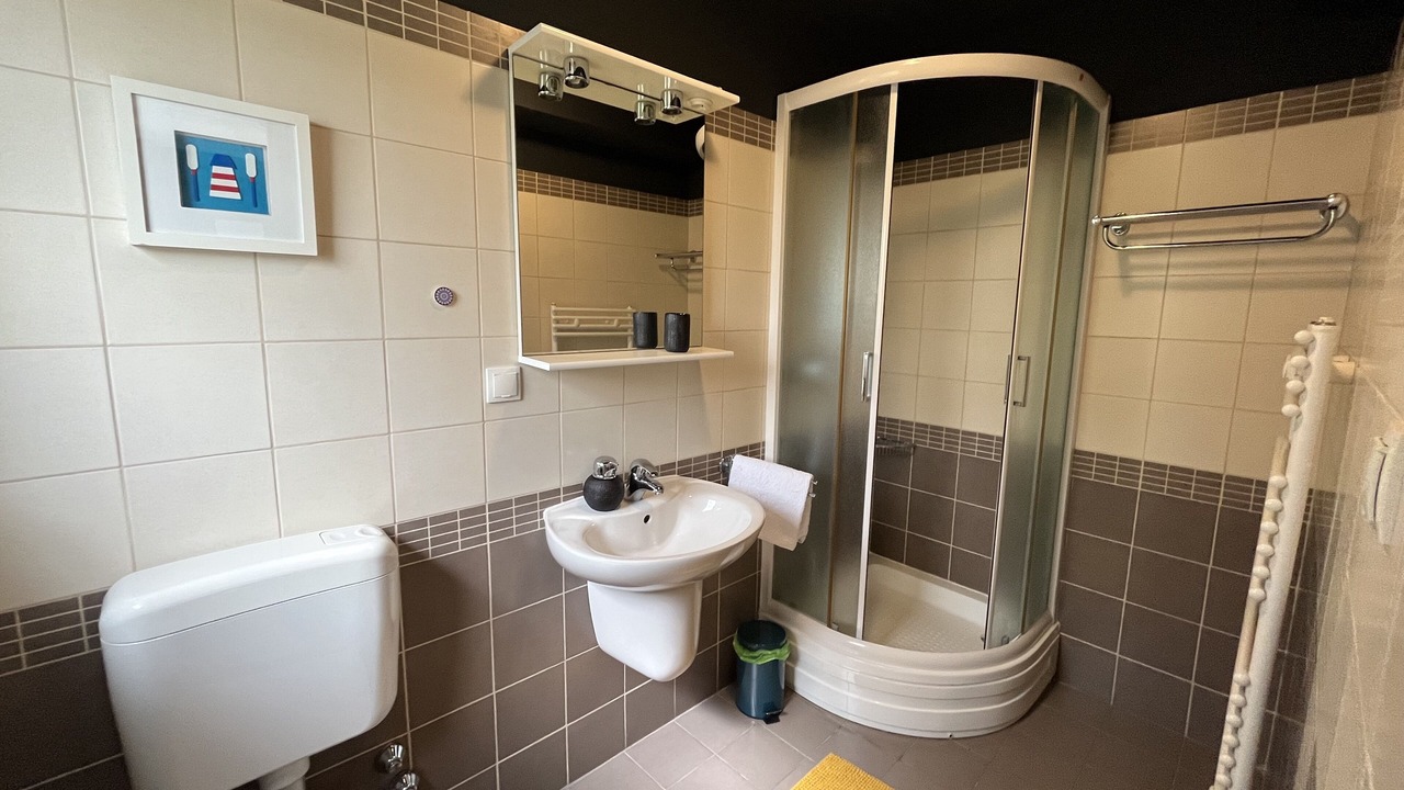Photo of Bathroom in Vratarusa