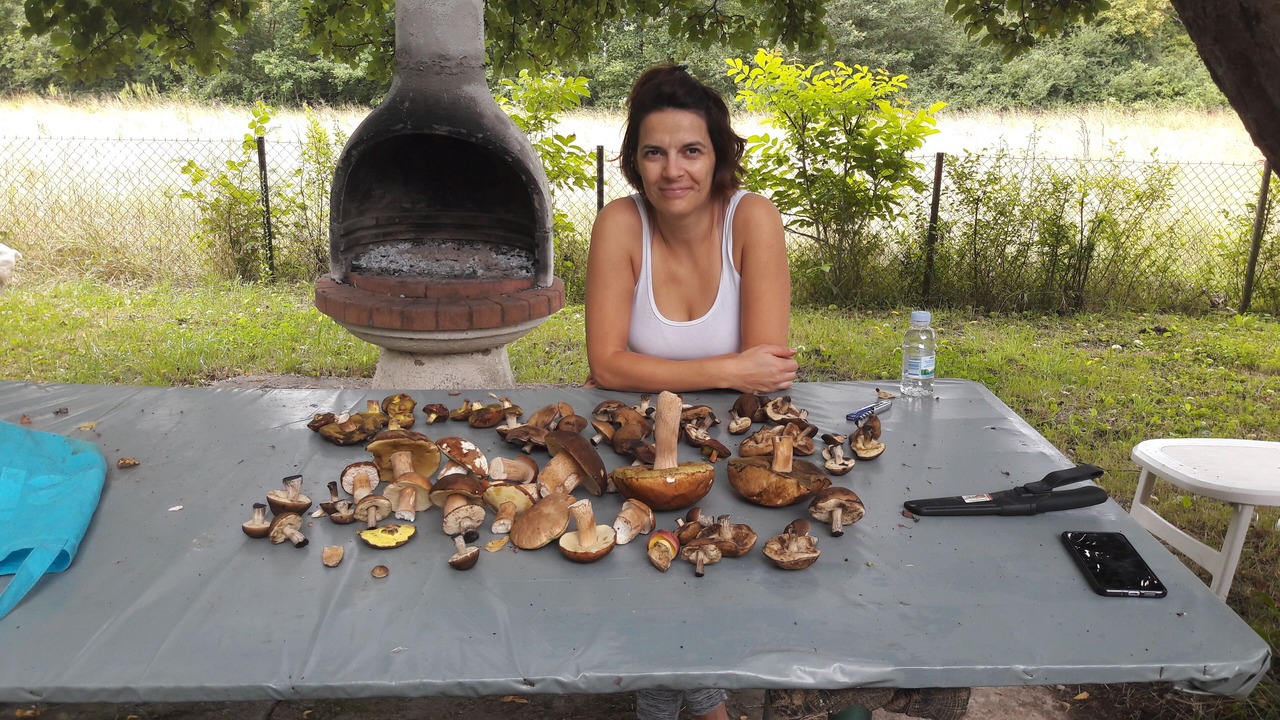 Photo of Outdoor in Lekenik