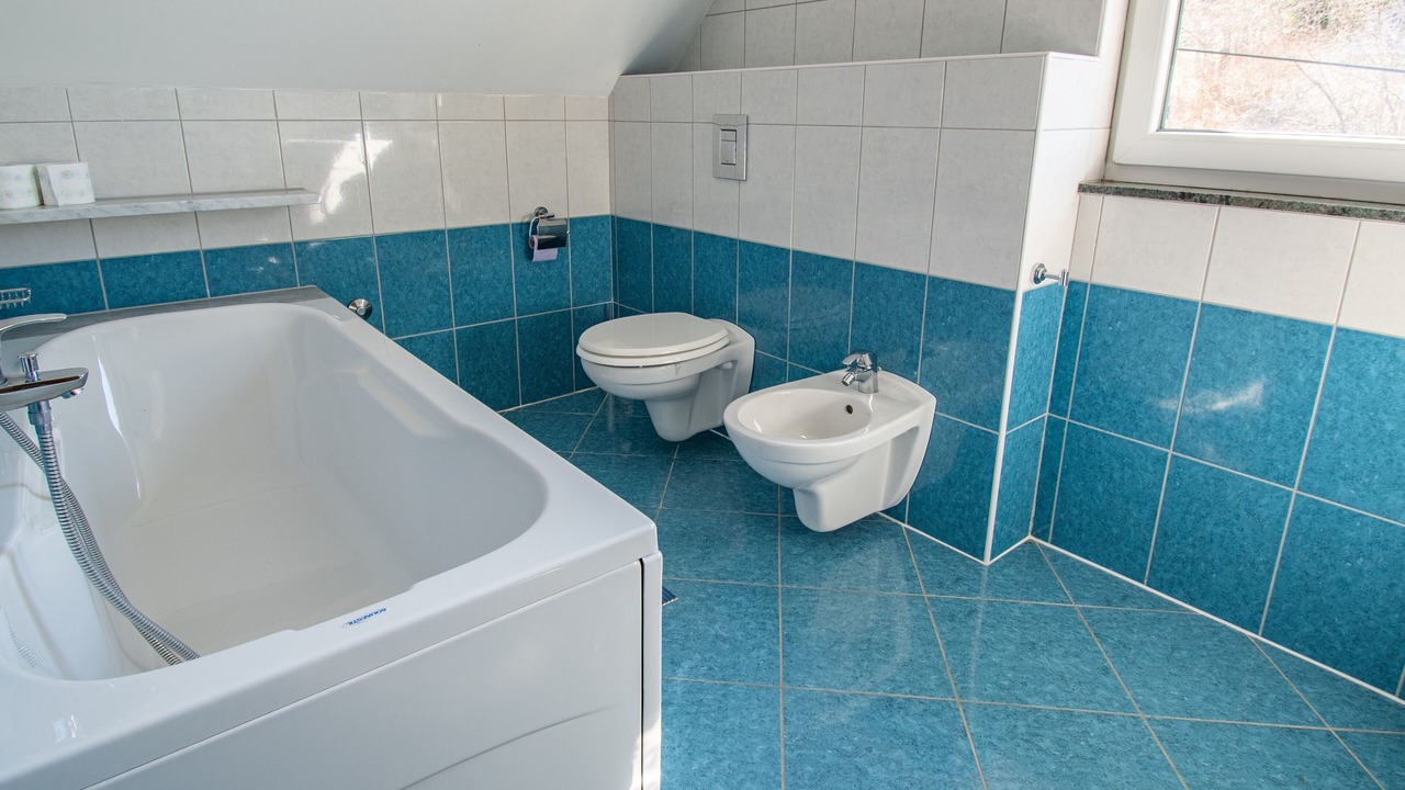 Photo of Bathroom in Lokve