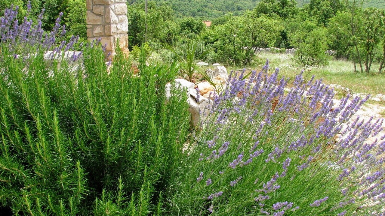 Photo of Outdoor in Ripenda Kras