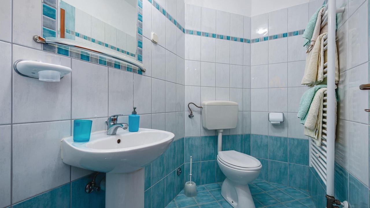 Photo of Bathroom in Drenje