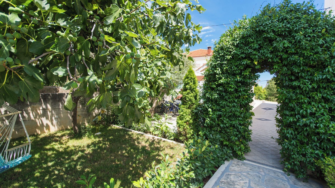 Photo of Outdoor in Seget Donji
