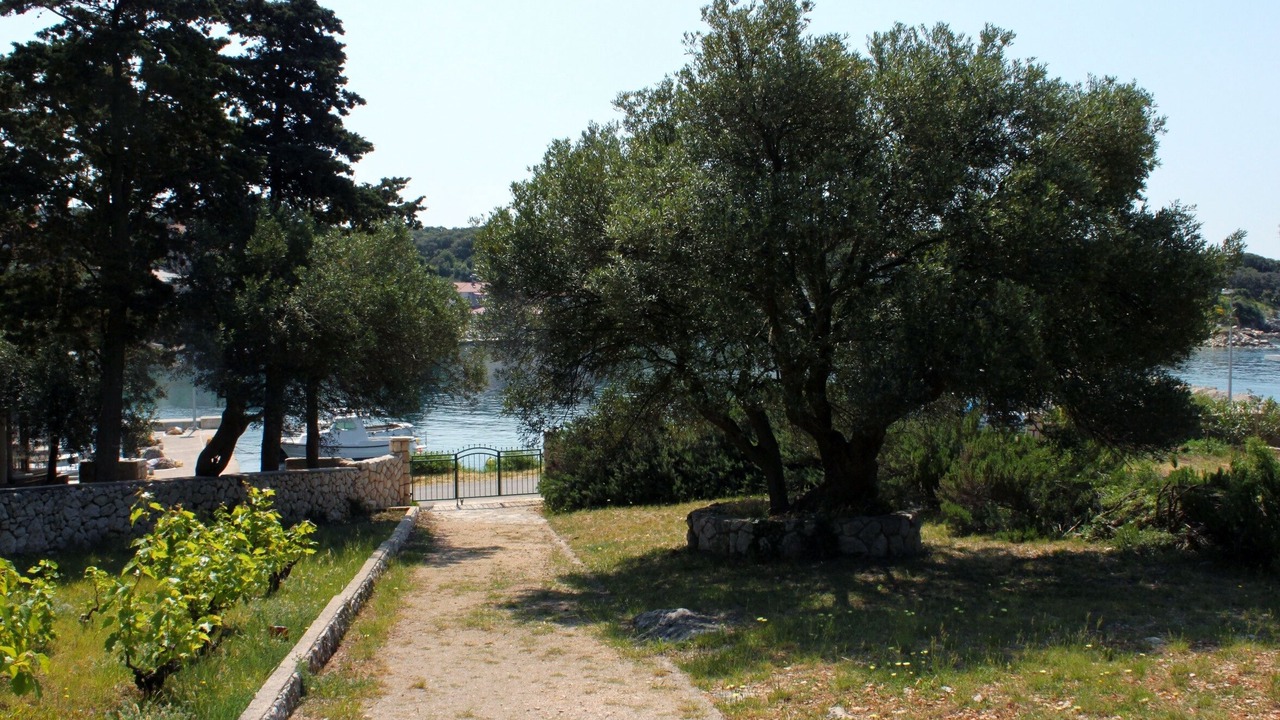 Photo of Outdoor in Jakisnica