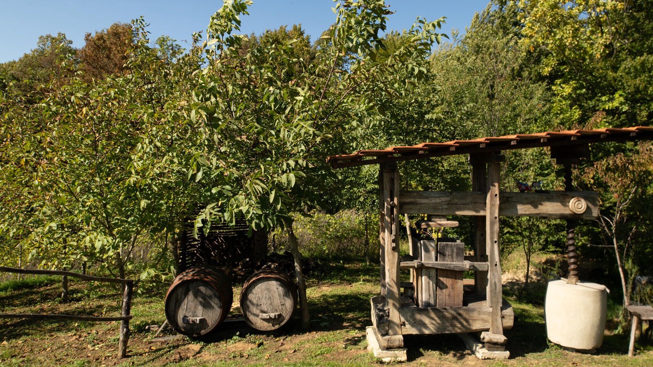 Photo of Others in Jakovlje