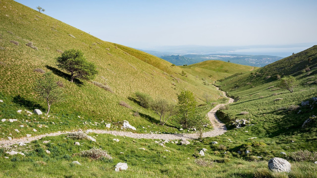 Photo of Outdoor in Sarsoni