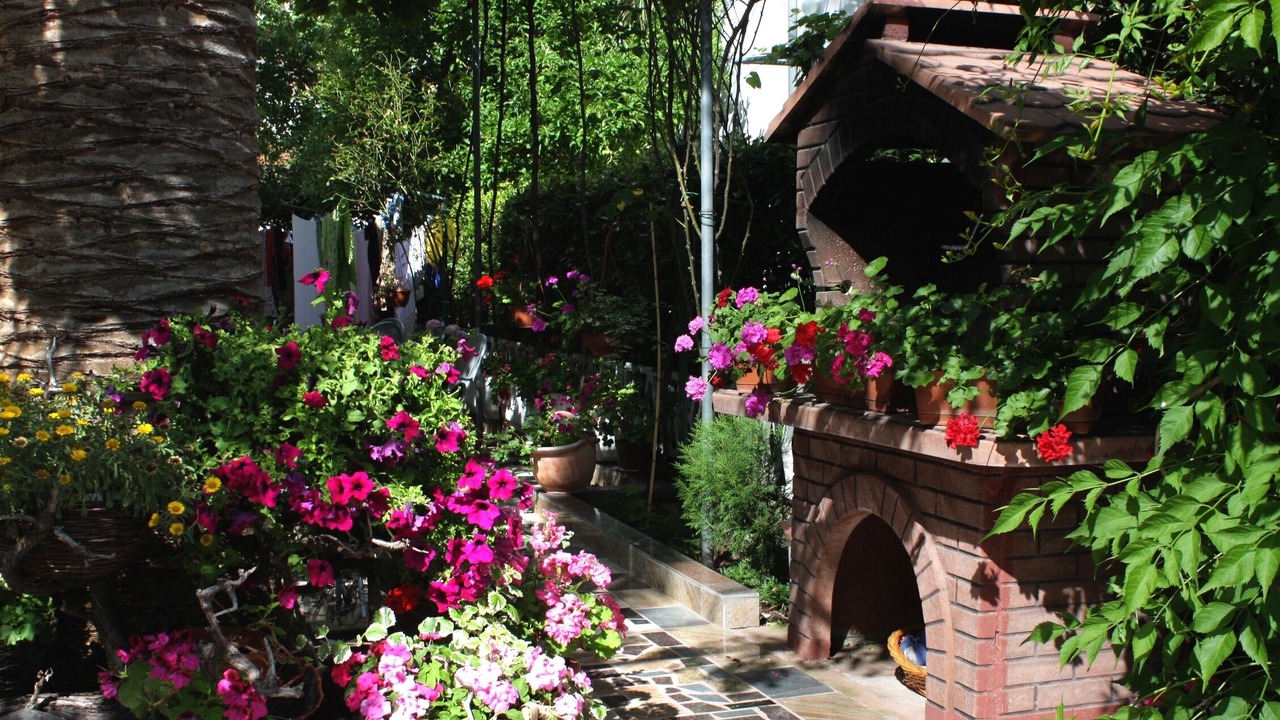 Photo of Outdoor in Palit
