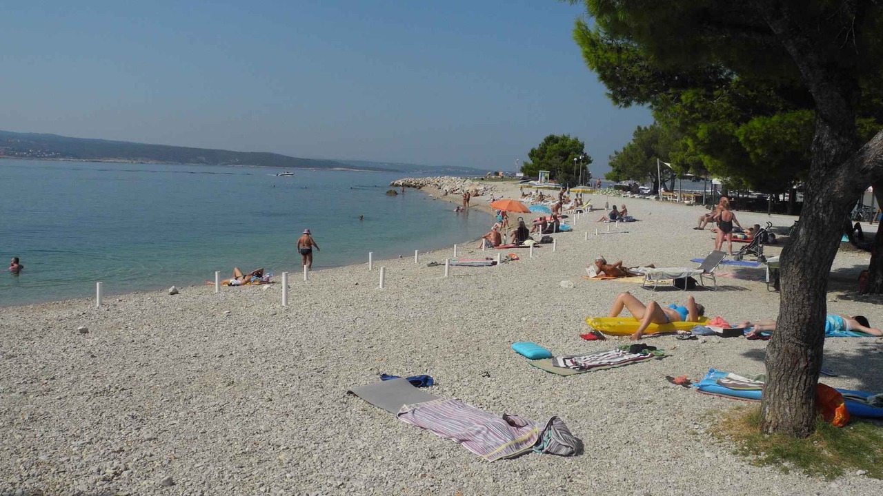 Photo of Others in Selce