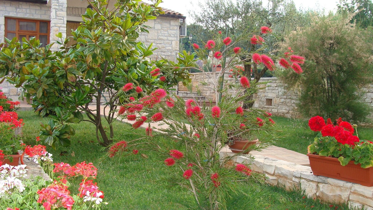 Photo of Outdoor in Rakalj