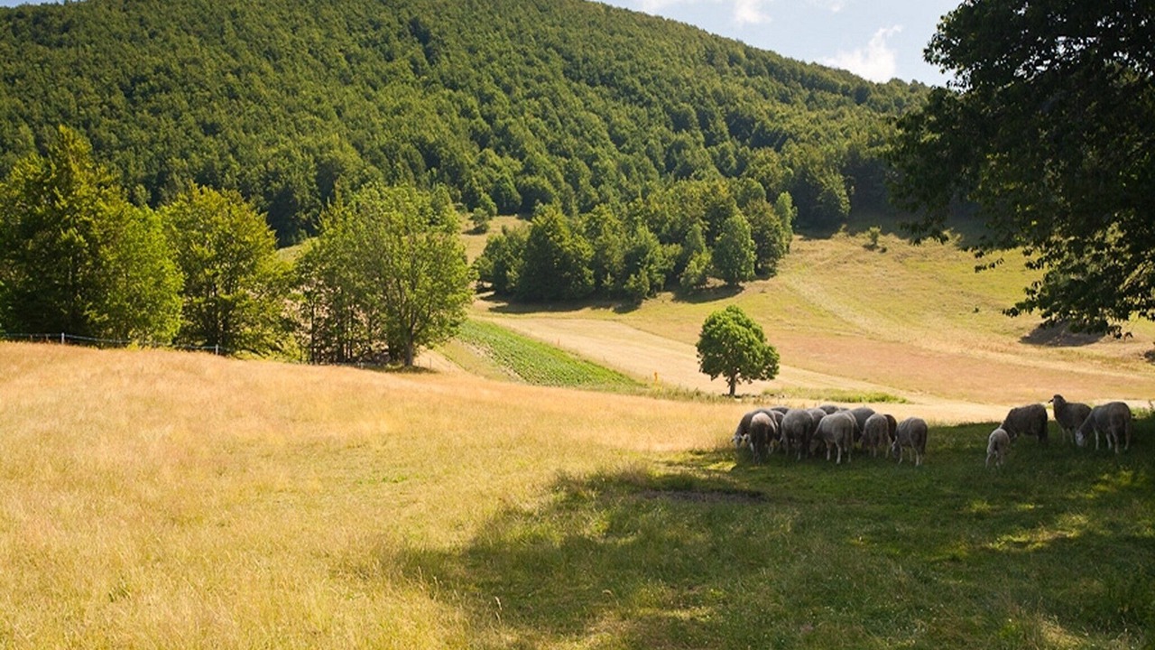Photo of Others in Begovo Razdolje