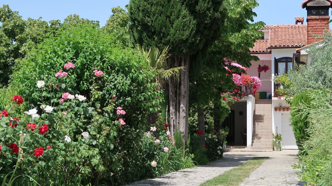 Photo of Outdoor in Ripenda Verbanci