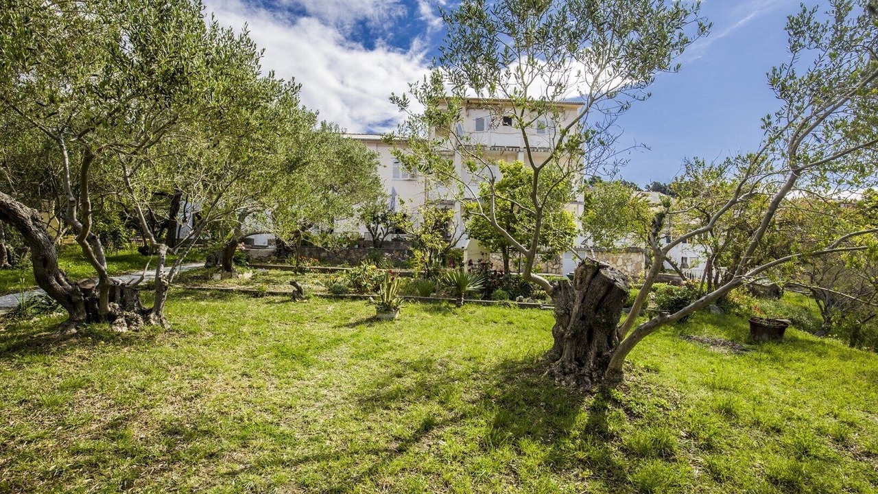 Photo of Outdoor in Banjol