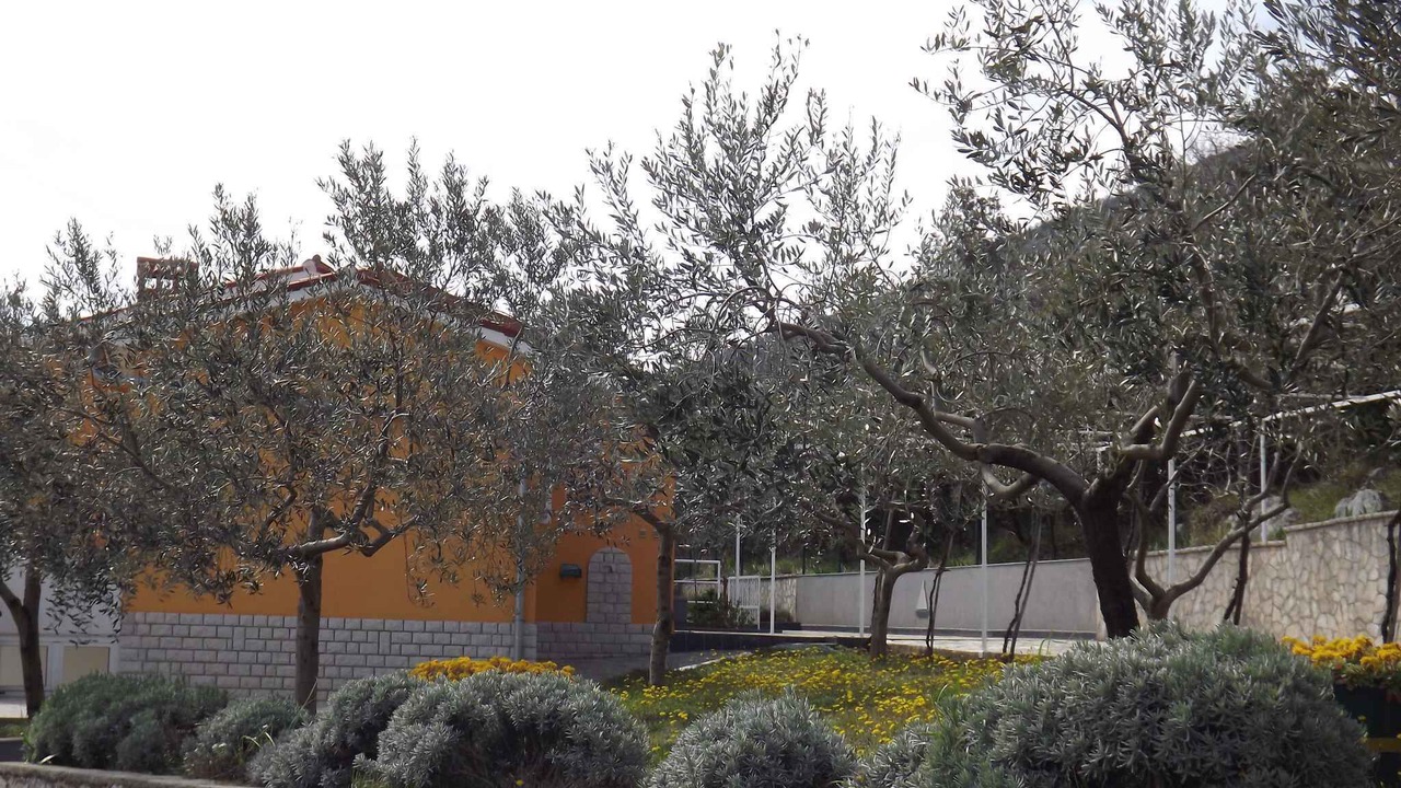 Photo of Outdoor in Ravni