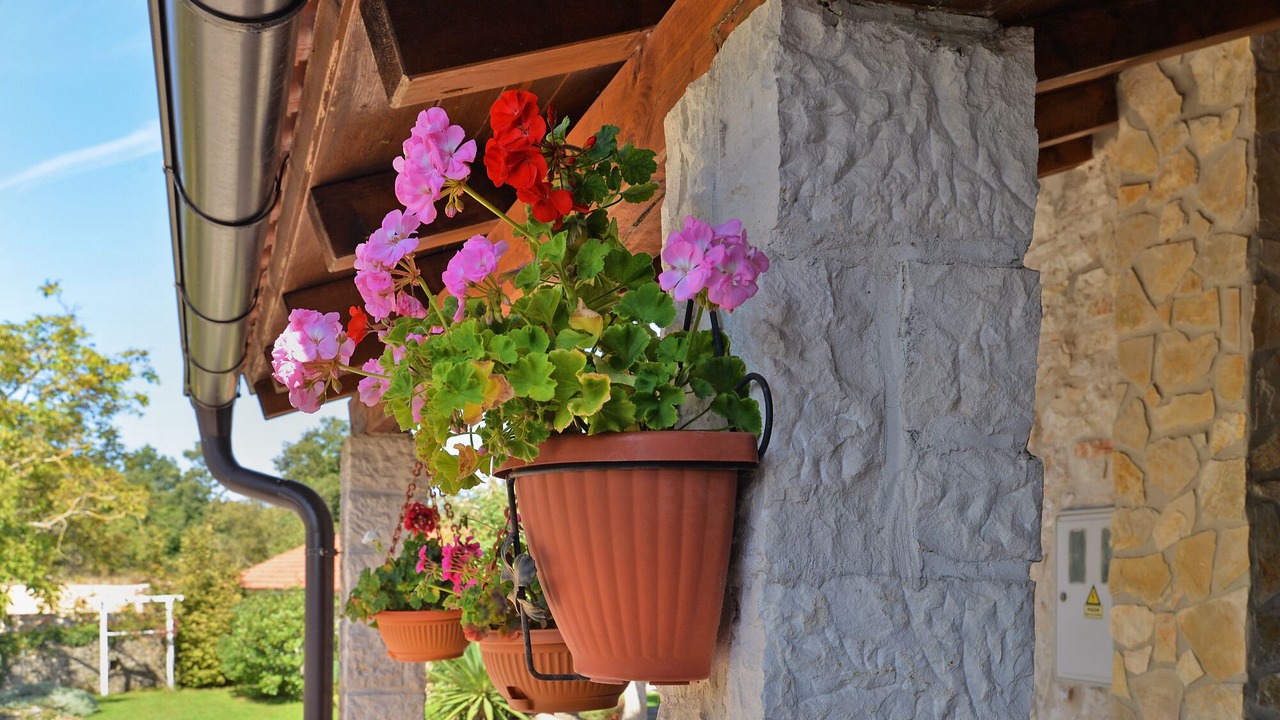 Photo of Outdoor in Rojnici