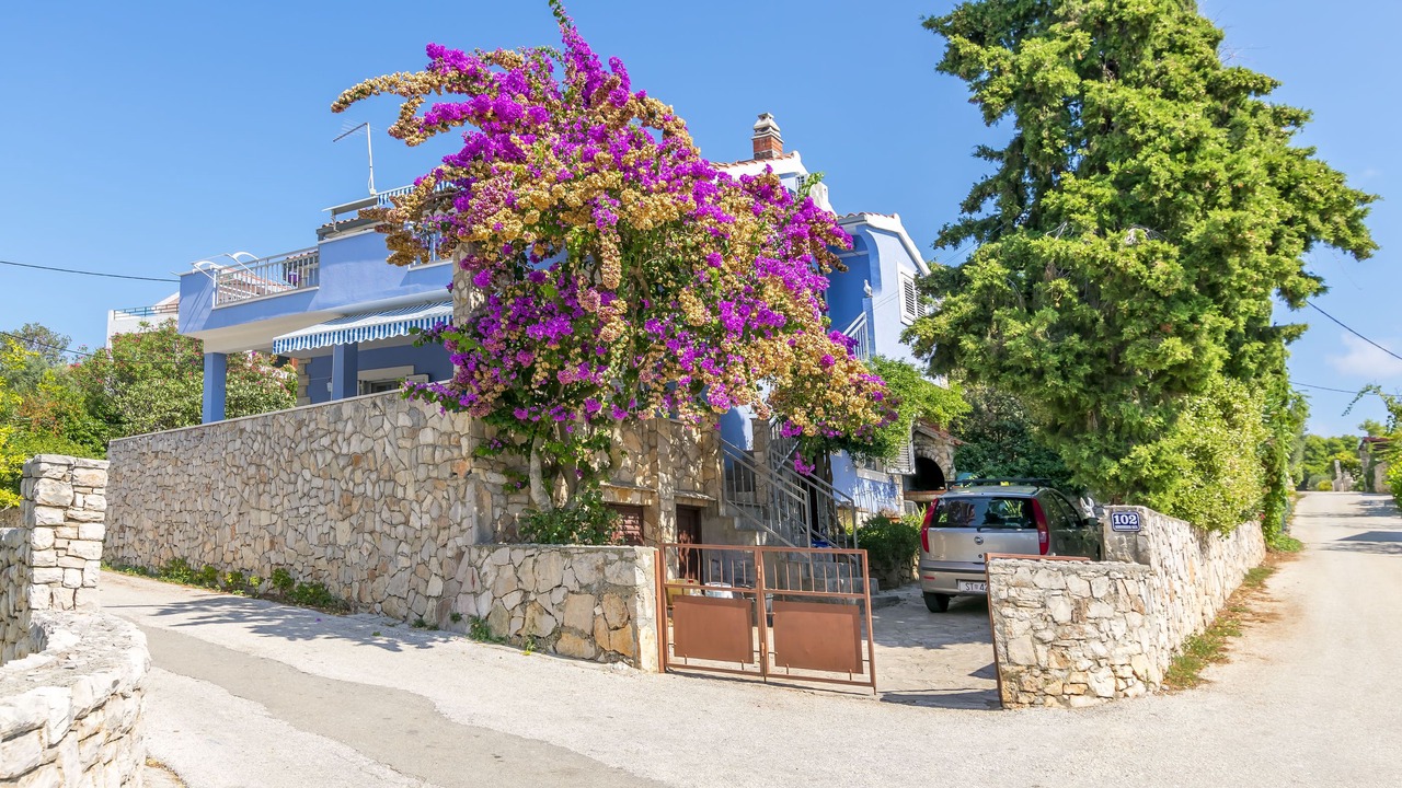Photo of Outdoor in Maslinica