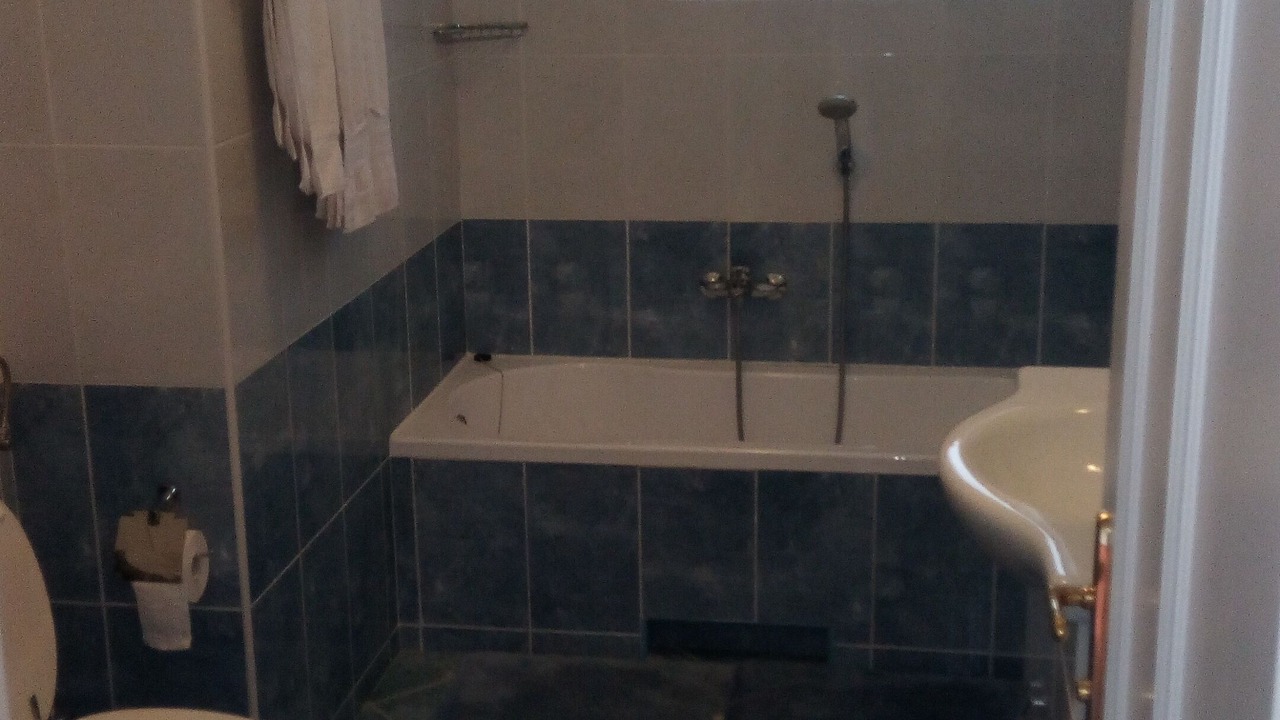 Photo of Bathroom in Pobri