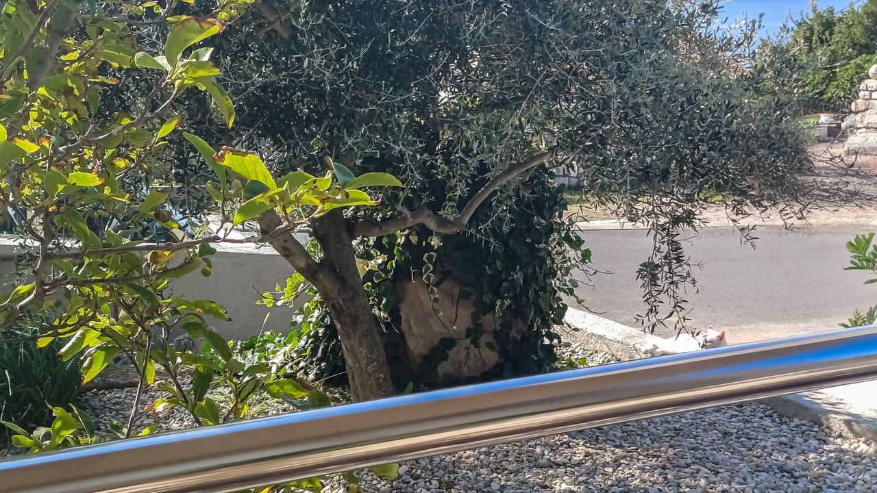 Photo of Outdoor in Jadranovo
