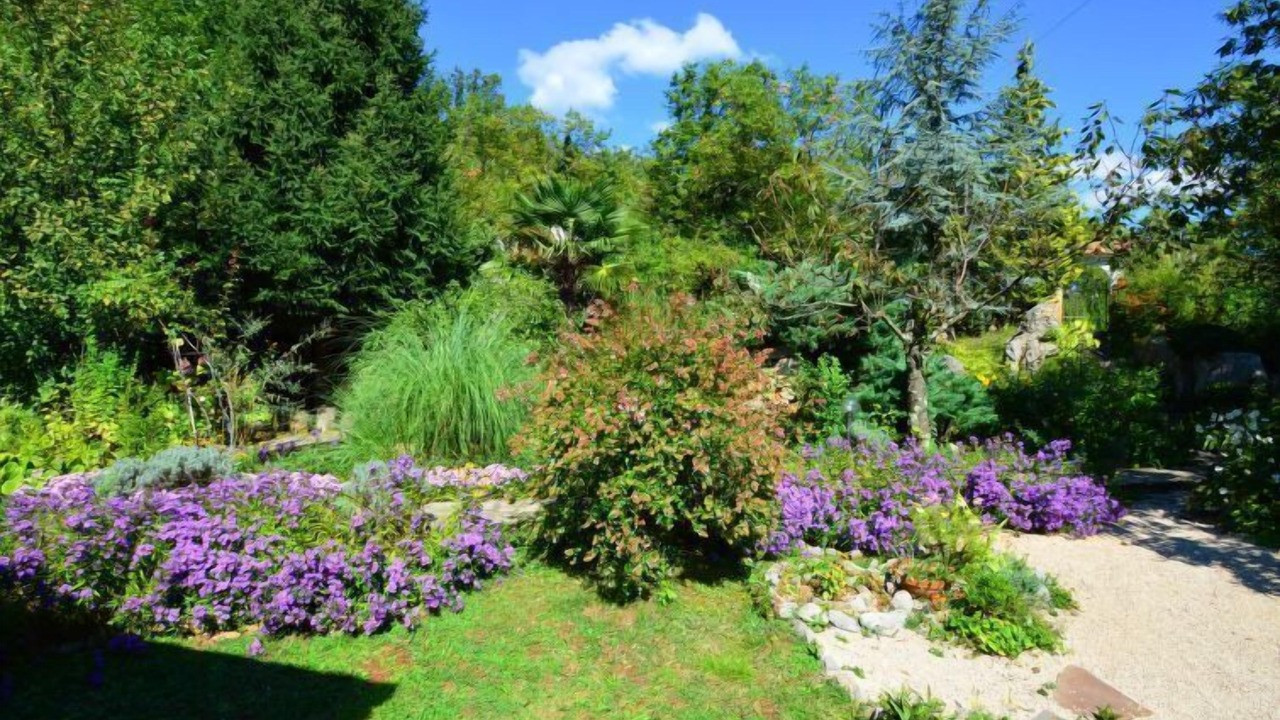 Photo of Outdoor in Opatija