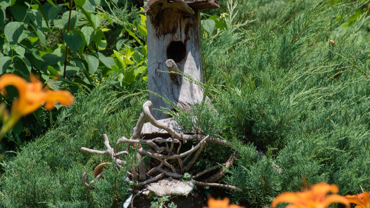 Photo of Outdoor in Opatija