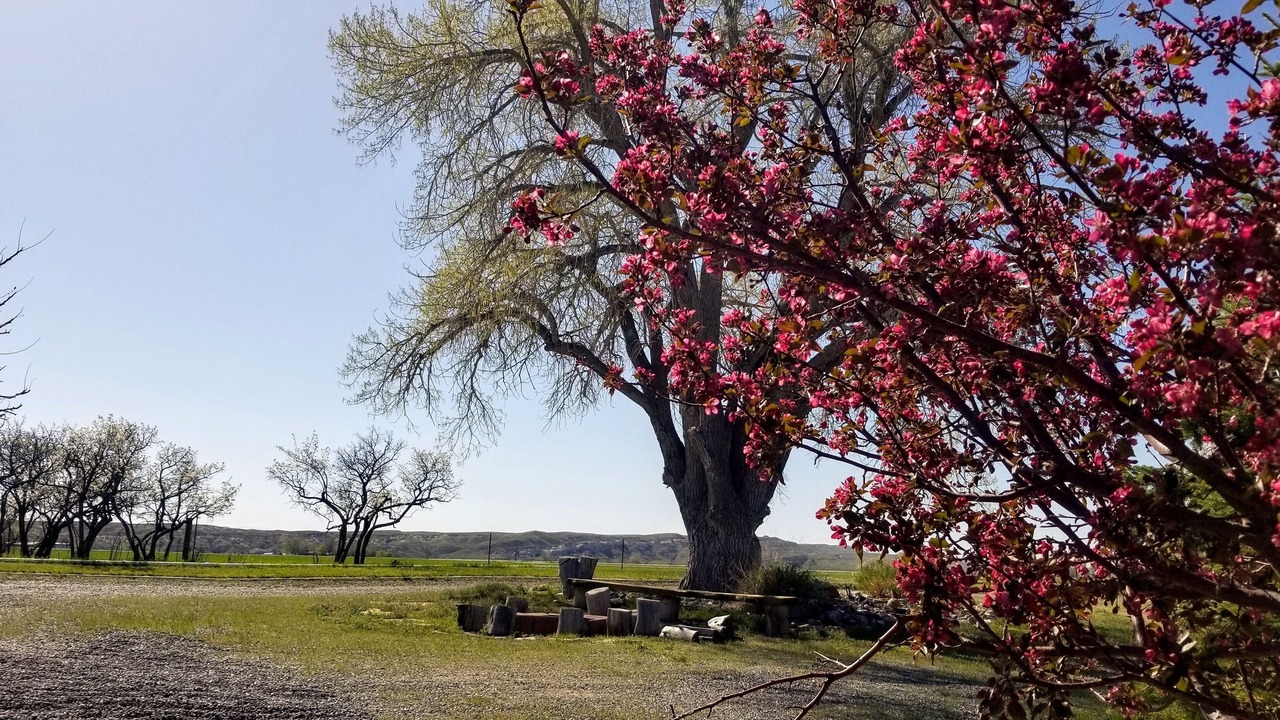 Photo of Outdoor in Lander