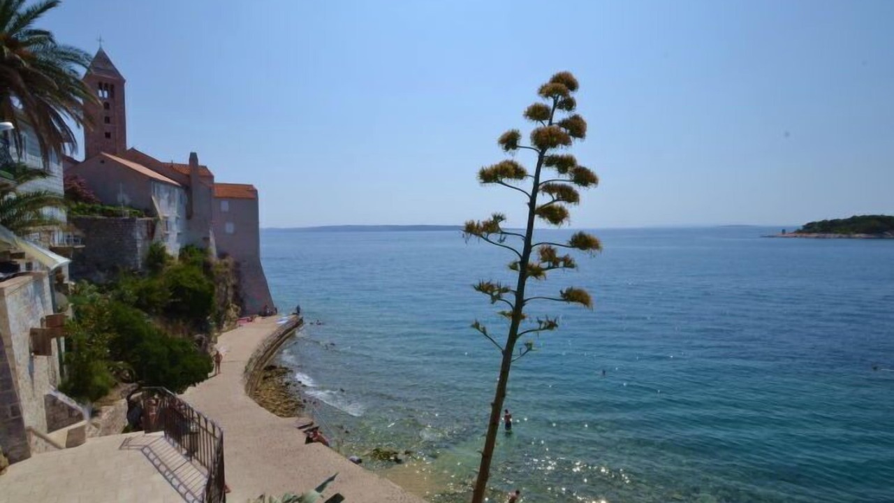 Photo of Outdoor in Banjol