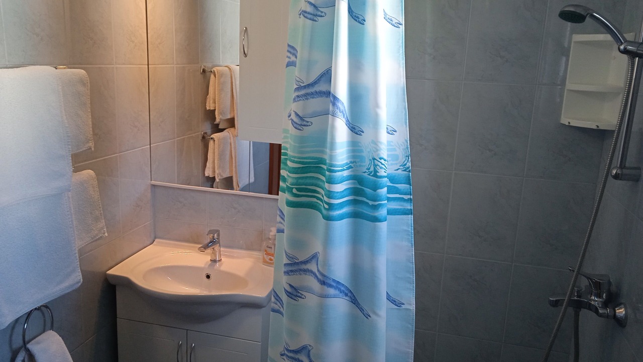 Photo of Bathroom in Lopud Island