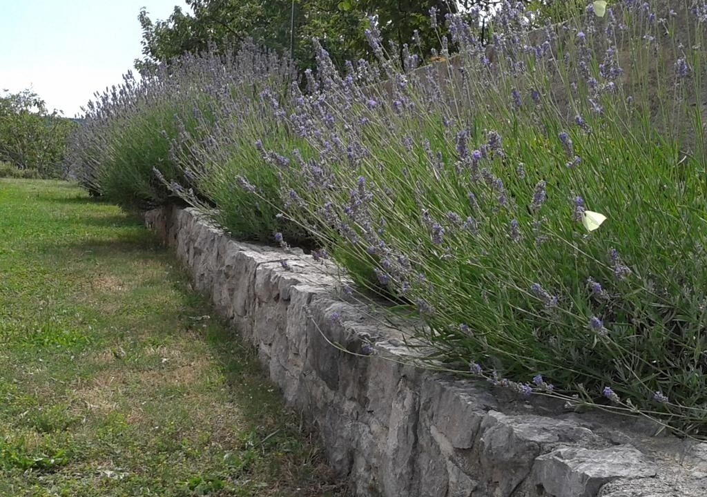 Photo of Outdoor in Ciritez