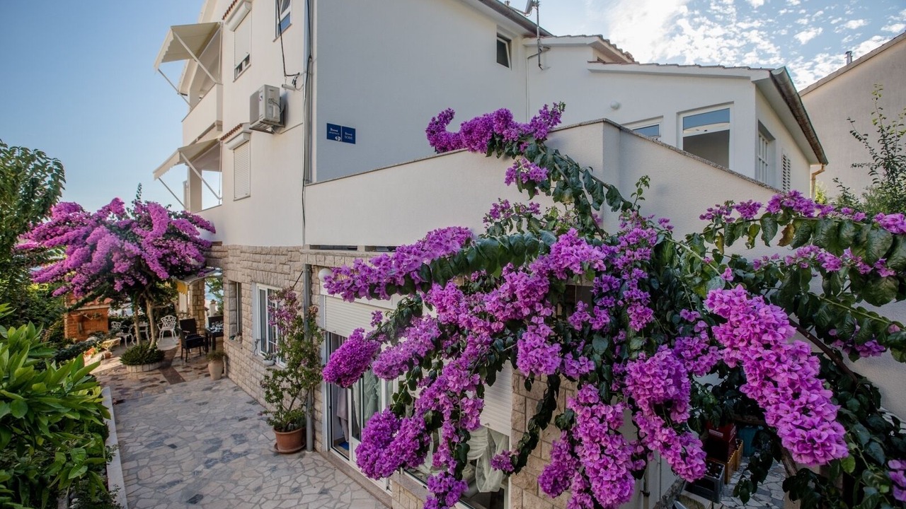 Photo of Outdoor in Supetarska Draga