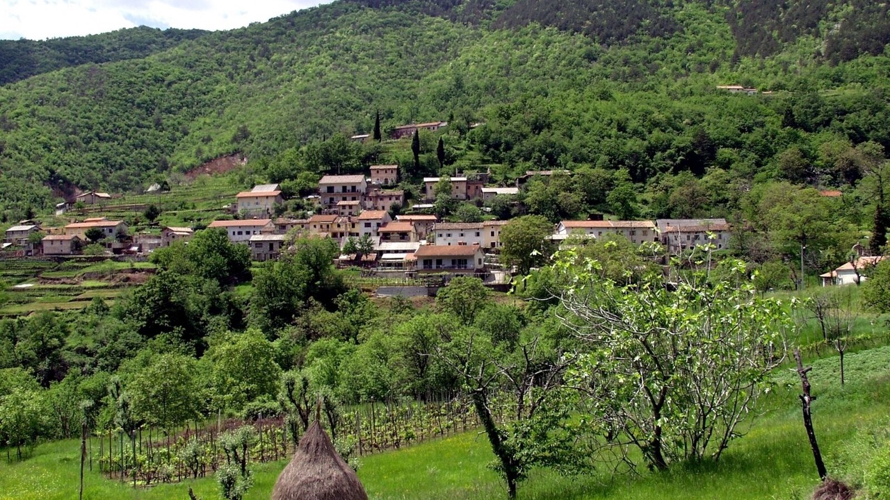 Photo of Others in Loborika