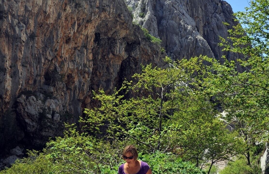 Photo of Others in Seline