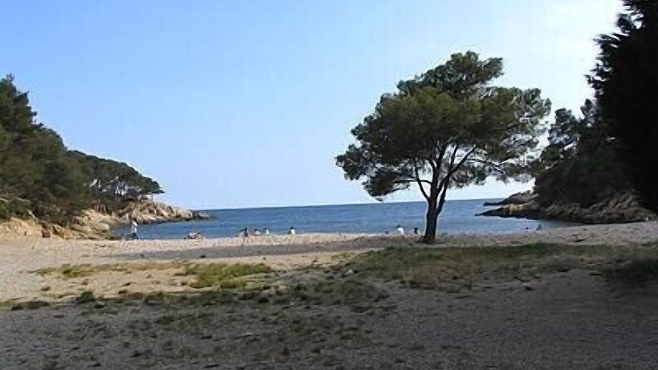 Photo of Others in Saint-Cyr-sur-Mer