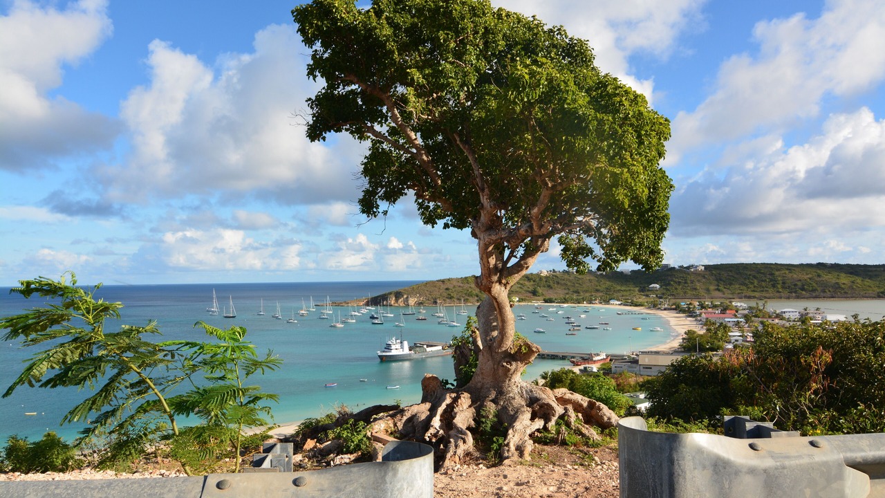 Photo of Outdoor in Little Harbour