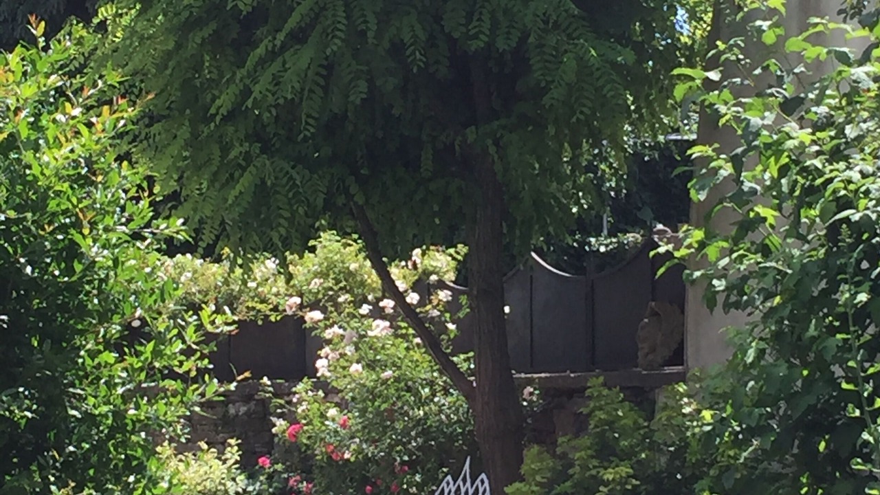 Photo of Outdoor in Oprtalj