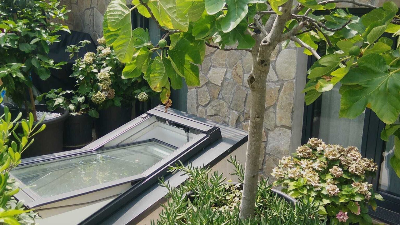 Photo of Outdoor in Opatija