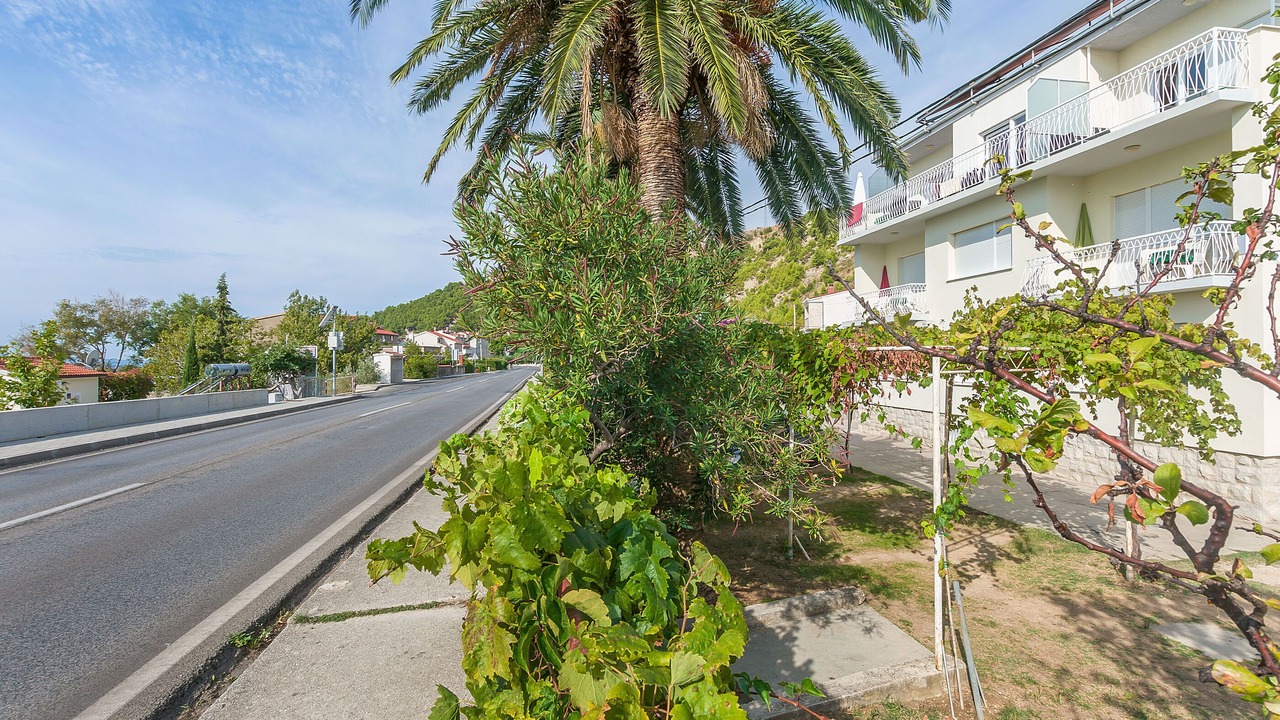 Photo of Outdoor in Duce