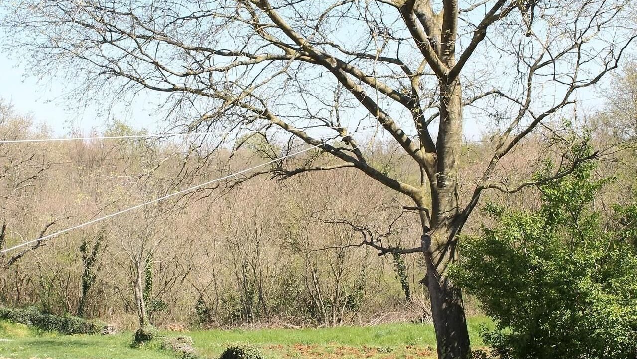 Photo of Outdoor in Pinezici
