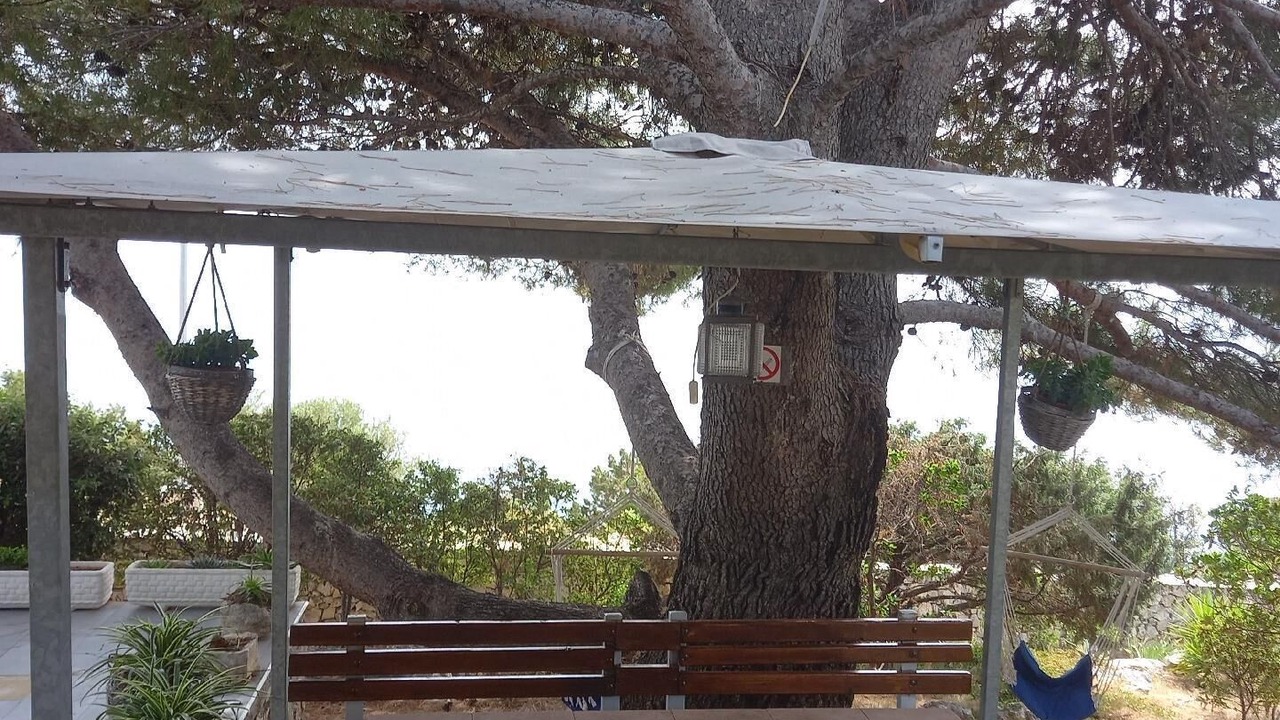 Photo of Outdoor in Donje Selo