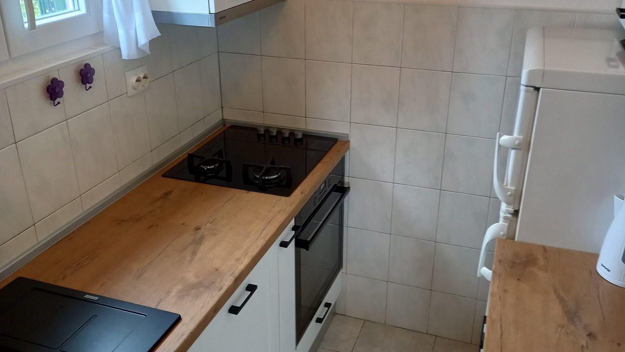Photo of Kitchen in Donje Selo