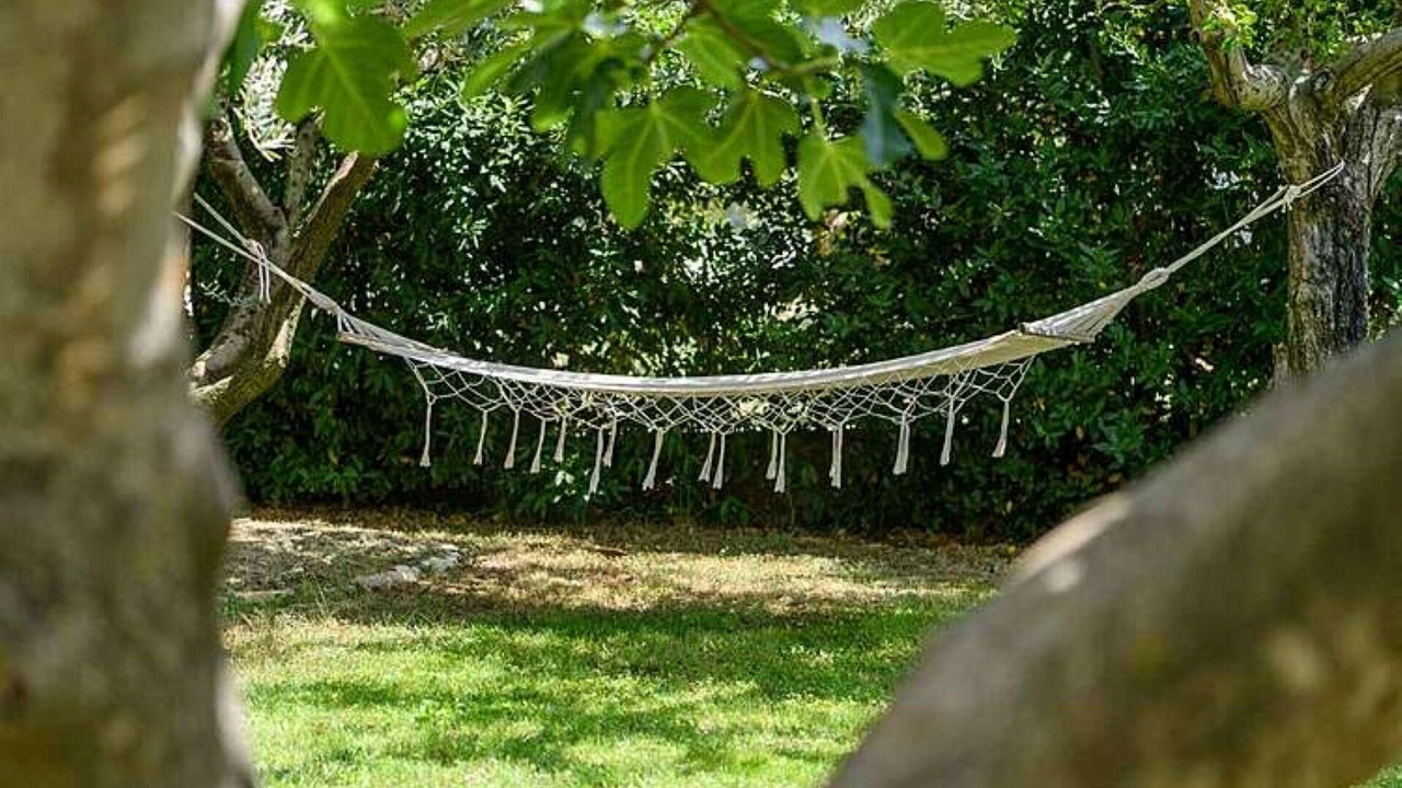 Photo of Outdoor in Puntera