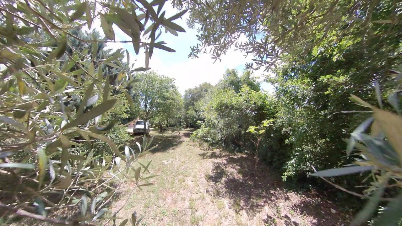 Photo of Outdoor in Hrboki