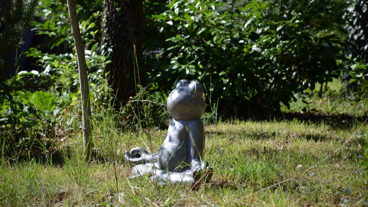 Photo of Outdoor in Hrboki
