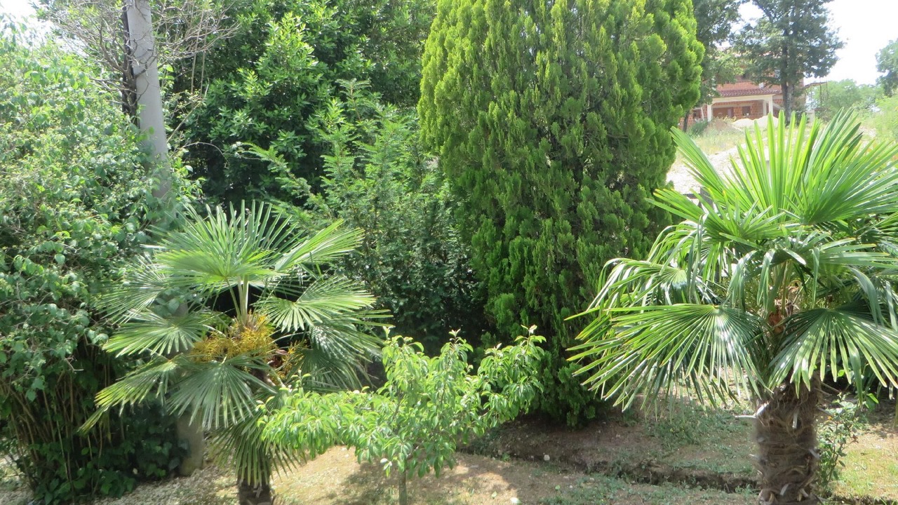 Photo of Outdoor in Vinez
