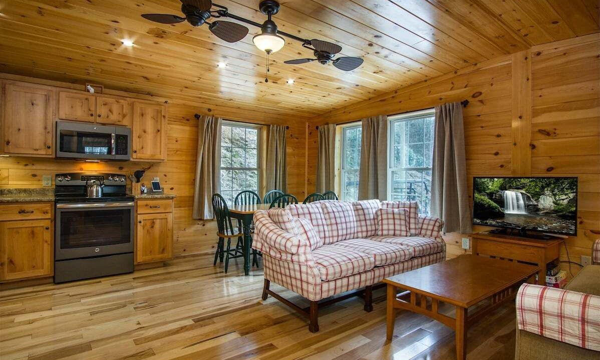 Photo of Livingroom in Pisgah Forest
