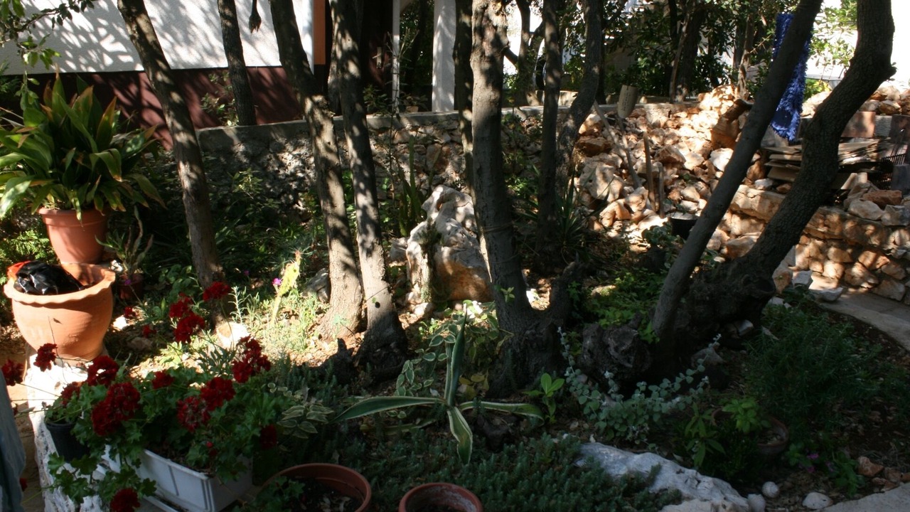 Photo of Outdoor in Mandre