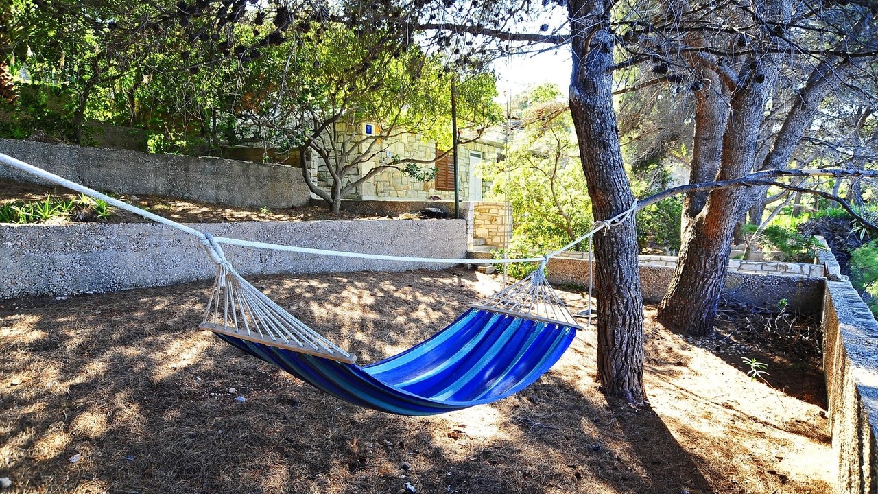 Photo of Outdoor in Necujam