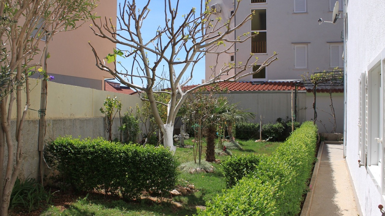 Photo of Outdoor in Tice
