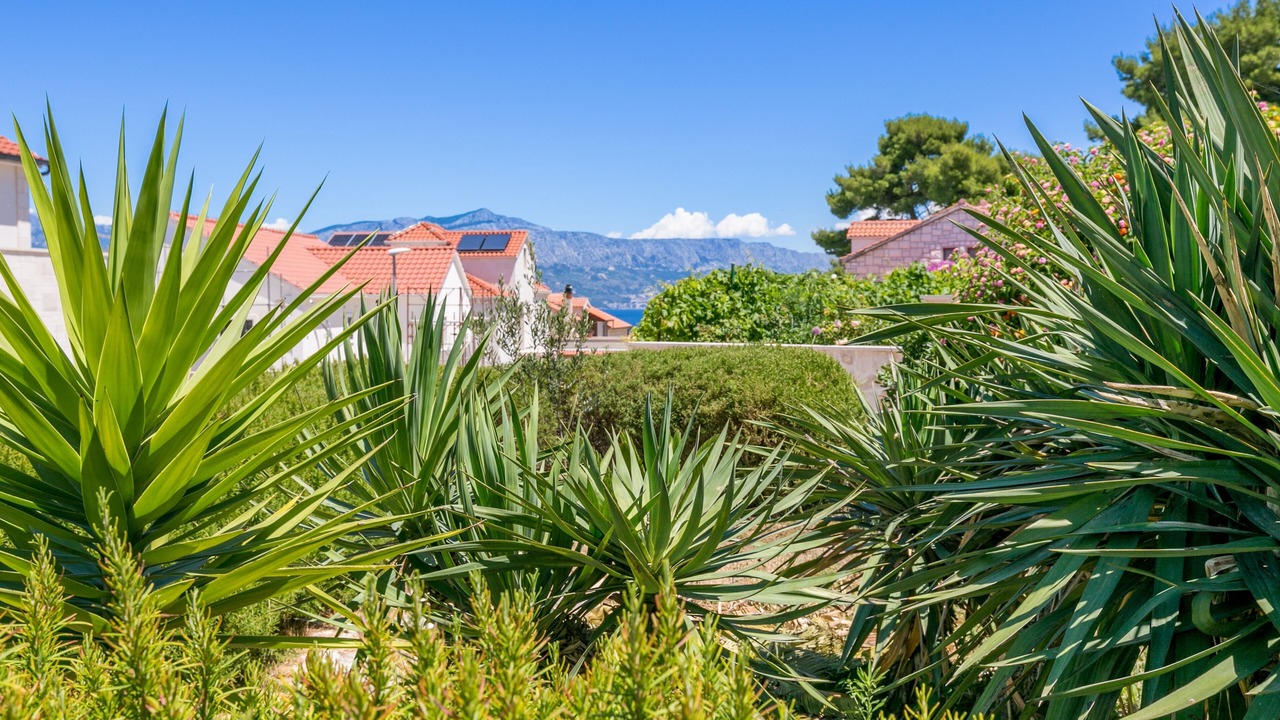 Photo of Outdoor in Postira